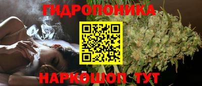 2c-b Краснознаменск